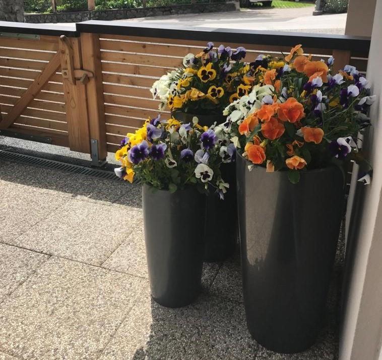 Apartament Wittner'S Söll Zewnętrze zdjęcie